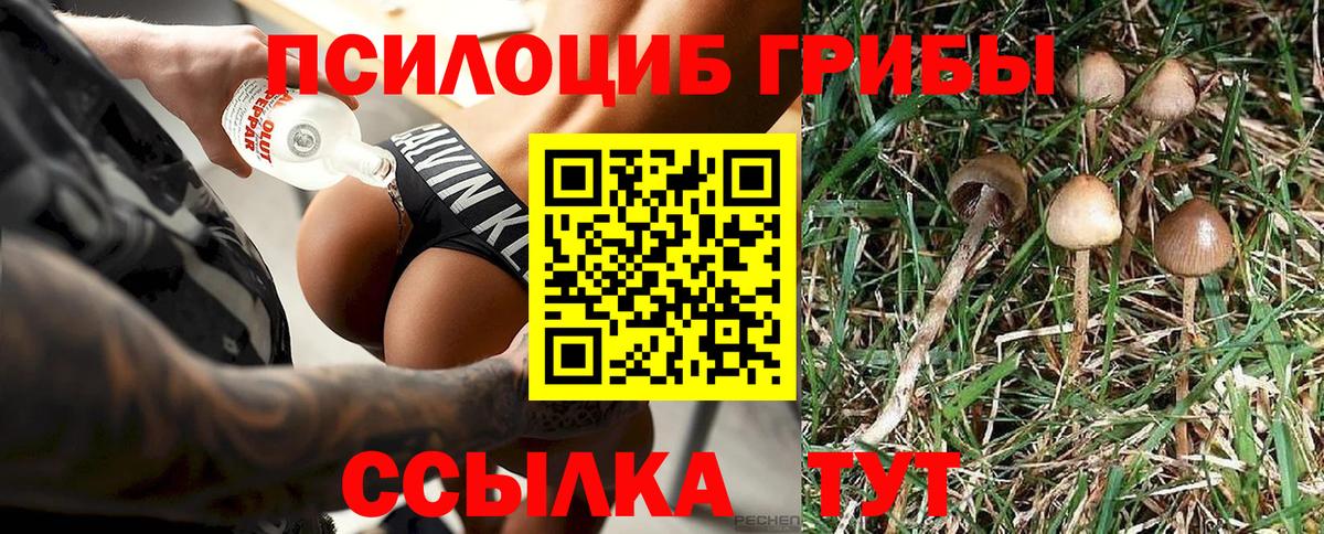 Галлюциногенные грибы мухоморы  Вход с VPN  Москва  Псилоцибиновые грибы мухоморы 